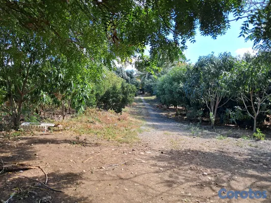 solares y terrenos - Se Vende Finca Agrícola de 48 Tareas en Quija Quie 6