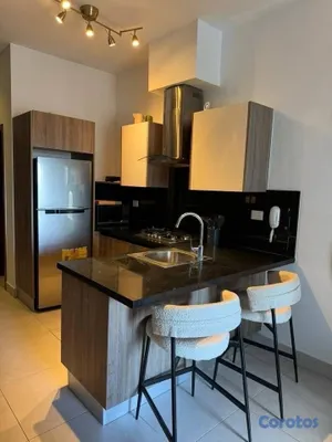 apartamentos -  Apartamento amueblado en la Esperilla de una habitación con redes sociales  5