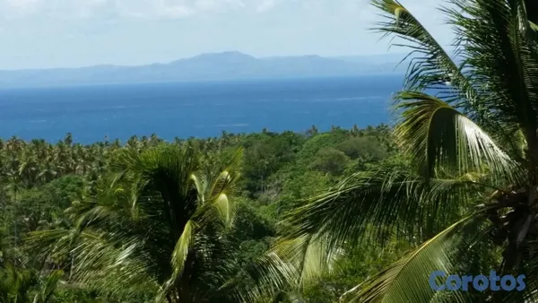 solares y terrenos - Vendo Terreno entre La Pascuala-Río los Cocos,SAMANÁ,Rep.Dominicana  12