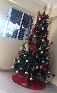 árbol de navidad con la decoración 