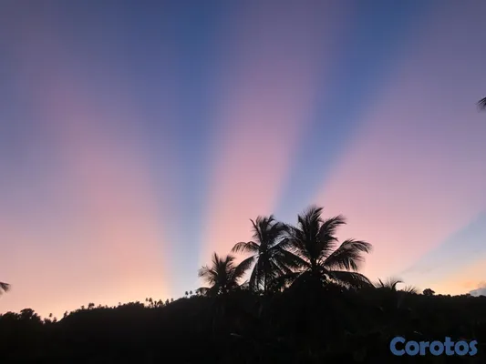 solares y terrenos - Vendo Terreno entre La Pascuala-Río los Cocos,SAMANÁ,Rep.Dominicana  8