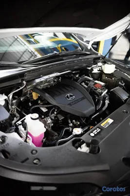jeepetas y camionetas - Lexus RX350 F-Sport 2023 Recien Importada Clean 12