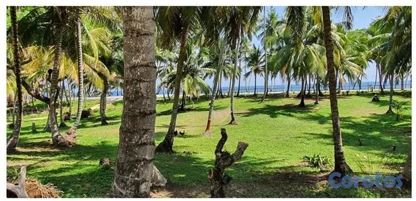 casas vacacionales y villas - Villa en Nagua 4