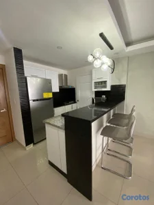 APARTAMENTO TOTALMENTE AMUEBLADO EN ALQUILER – ZON