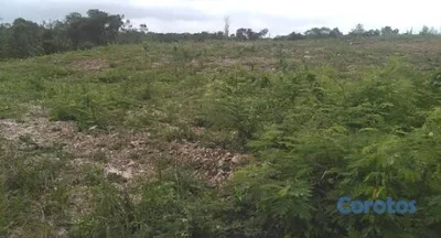 QUIERO TU VEHÍCULO POR MIS TIERRAS