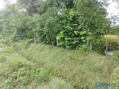finca perfecto para casa campestre en bayaguana 