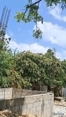 Viviendas de Bajo Costo - venta de local con terreno de 178m 550 negociable la ureña santo Domingo este  4