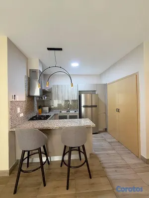 apartamentos - Apartamento en Alquiler | Piantini -3478 7