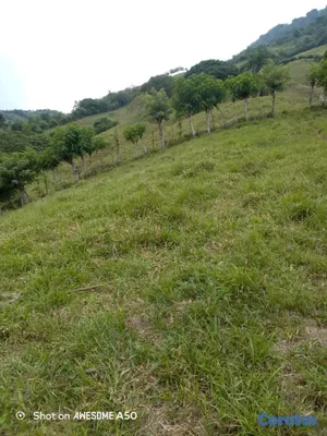 solares y terrenos - finca de 450 tareas con vocación ganadera en yamasa  4