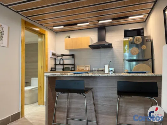 apartamentos - Loft Amueblado en Renta , Ciudad Las Canas Cap Can 8
