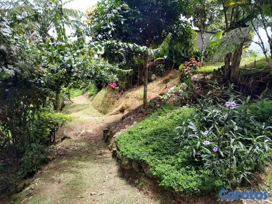 solares y terrenos - SE VENDE HERMOSA FINCA EN EL CACAO de San Cristoba 12