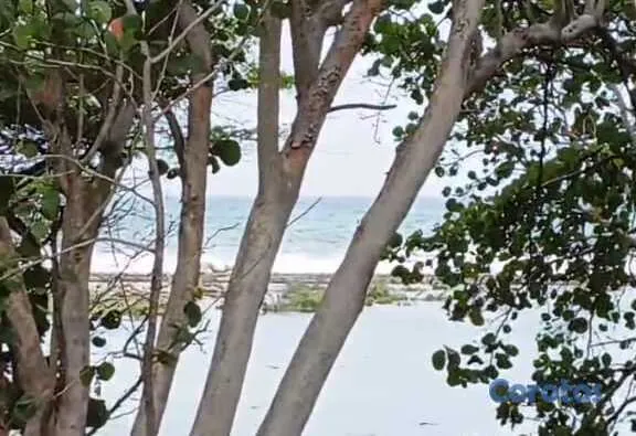 solares y terrenos - VENDO ESTE HERMOSO SOLAR DE PLAYA EN HAINA NIGUA 5