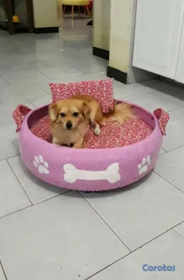 animales y mascotas - camas de perro en perfecto estado 3