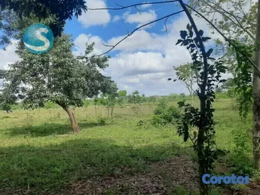 solares y terrenos - Solar en venta 2