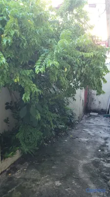casas - Alquiler de Casa en San Gerónimo esquina calle Rafael Ramos ( la privada ) 10