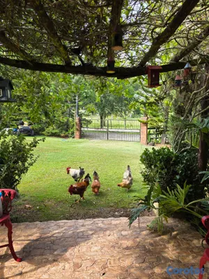 casas vacacionales y villas - Hermosa casa en Jarabacoa,rodeada de arboles a 5 minutos del centro del pueblo
 4