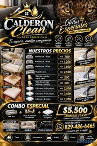 limpieza de muebles.