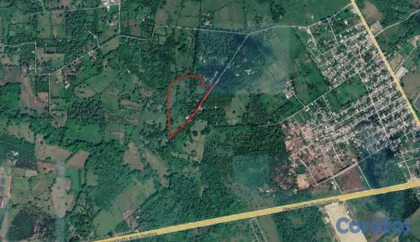 solares y terrenos - Se Vende Terreno de 77.01 Tareas 1