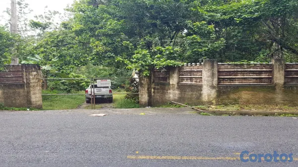solares y terrenos - En Venta Finca Agricola en Villa Altagracia con Cacao, Aguacate y chinola 10