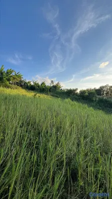 solares y terrenos - Residencial de solares perfecto para villas. entre Santiago y la Vega  3