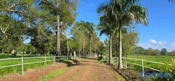 solares y terrenos - hacienda ganadera en Monte playa  15