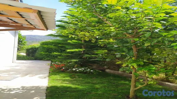 casas vacacionales y villas - Villa en venta Constanza 6