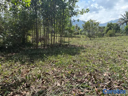 solares y terrenos - Terreno Campestre en Los Mogotes, Villa Altagracia. 2