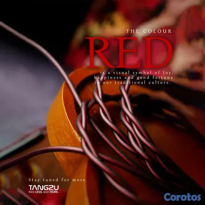 camaras y audio - Audifonos Tangzu Wan'er 2 Red Lion Bass Edition Auriculares IEM 5