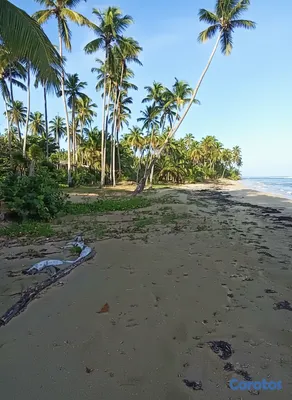solares y terrenos - Solar de 1800 m² en 1ra Línea de Playa en Cosón Las Terrenas 7