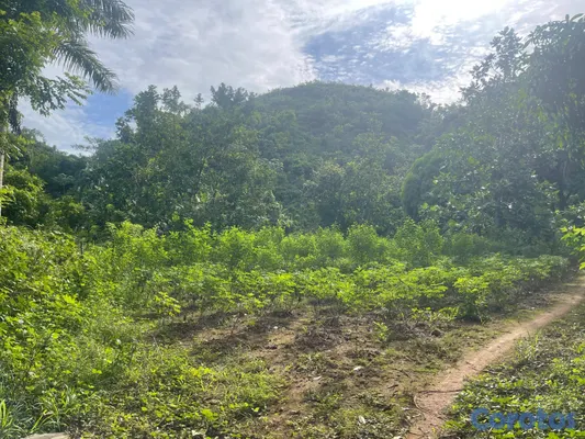 solares y terrenos - Terreno en un lugar super tranquilo  6