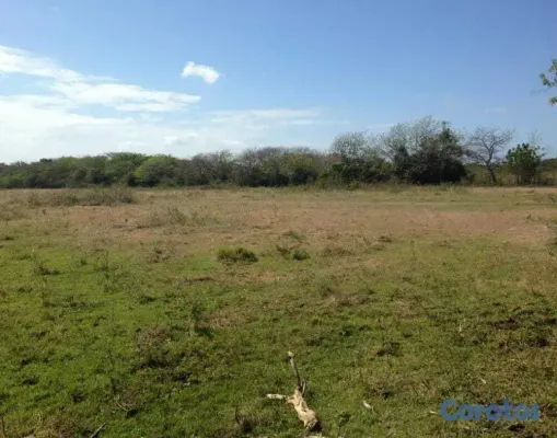 solares y terrenos - Terreno en Sabana Grande de Palenque 3