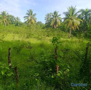 finca eco turística de 26 tareas de bayaguana 