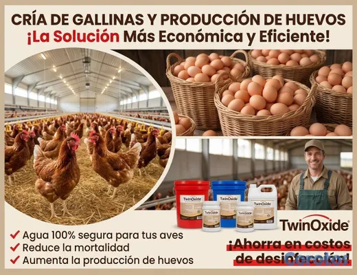 servicios profesionales - TwinOxide Agua Pura para Aves - Más Producción de Huevos y Menos Enfermedades 2