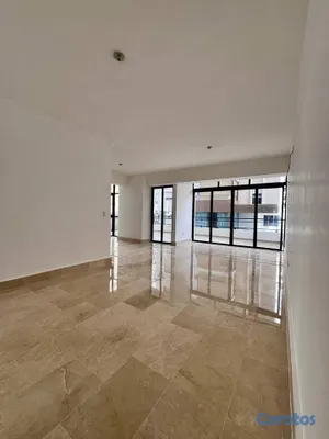 apartamentos - 2do piso con terraza en alquiler en Serralles 3