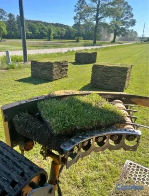 herramientas, jardines y exterior - Vendo todos tipos de paletas de zacate.

San Agustín 
Bermuda.
Zoysia.
 14