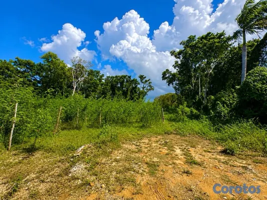 solares y terrenos - Terreno de 842 m² en Punta Popy, Las Terrenas 2