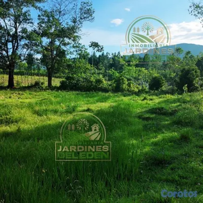 solares y terrenos - EDÉN 1ro🌳❤️ 6