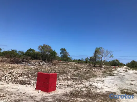 solares y terrenos - Terreno detrás de Espalliat Motors Punta Cana 5