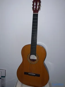 Guitarra Clásica D. Catala