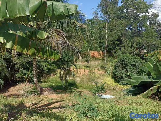 solares y terrenos - Propiedad En Los Mogotes, Villa Altagracia A Solo  5