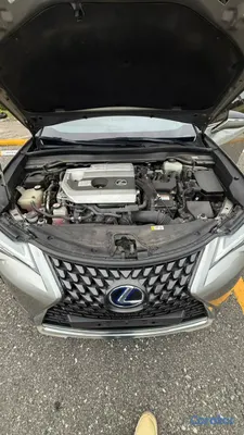 carros - Lexus UX 250h Hibrido 2020 | Elegancia, Lujo y Efi 2