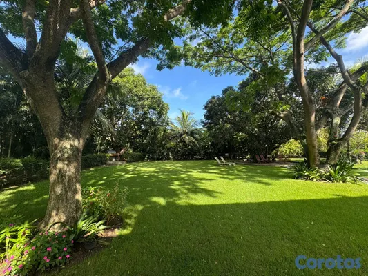 casas - Mansion En Puñal Tu Finca Privada  16