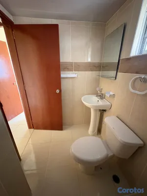apartamentos - Apartamento en alquiler  2
