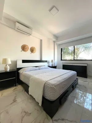 apartamentos - Apartamento en Alquiler 9