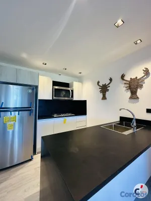 apartamentos - En renta Apartamento de 3 hab. en West Village – U 4