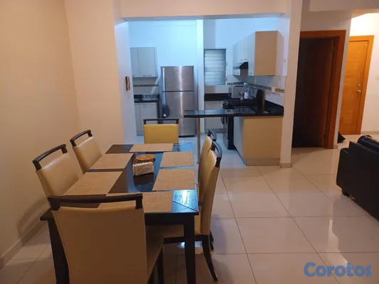 apartamentos - APARTAMENTO TOTALMENTE AMUEBLADO EN ALQUILER MIRAF 7