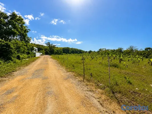 solares y terrenos - Terreno de 842 m² en Punta Popy, Las Terrenas 7