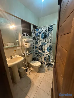 apartamentos - Alquiler de apartamento amueblado en la zona colon 4