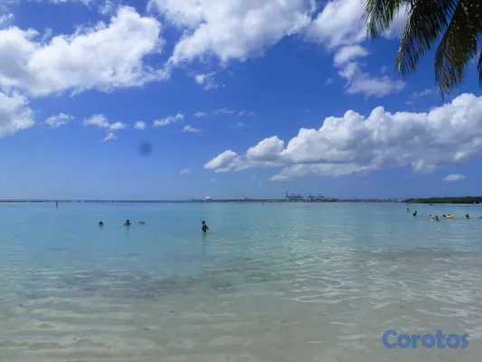oficinas y locales comerciales - RESTAURANTES -APARTA HOTEL CON PLAYA EN BOCA CHICA 3