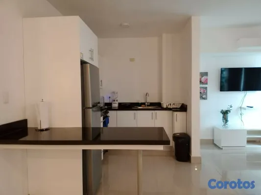 apartamentos - Apartamento En Alquiler Malecon 4